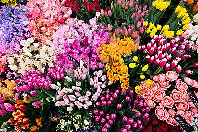 大吉大利 今晚吃鸡 《沙盒与副本：英勇之地》又出新花样！